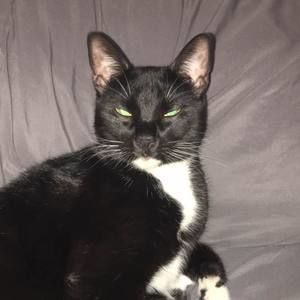 Meet your Posher, Chloe